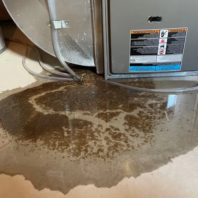 Pipe Burst and Leak Restoration in Winona Lake, IN